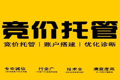 高效SEM托管服务：成功案例深度解析